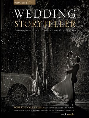 cover image of Wedding Storyteller, Volume 1